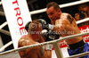 Dejan Zavec of Slovenia and Rafal Jackiewicz of Poland during IBF World Championship boxing match. IBF World Championship boxing match between Zavec and Jackiewicz was held on 4th of September 2010 in Stozice Arena in Ljubljana, Slovenia.

