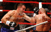 Dejan Zavec of Slovenia and Rafal Jackiewicz of Poland during IBF World Championship boxing match. IBF World Championship boxing match between Zavec and Jackiewicz was held on 4th of September 2010 in Stozice Arena in Ljubljana, Slovenia.
