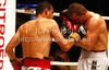 Denis Simcic of Slovenia and Istvan Varga of Romunia during WBF International boxing match. WBF International boxing match between Simcic and Varga was held on 4th of September 2010 in Stozice Arena in Ljubljana, Slovenia.

