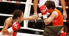 Tjasa Kolar of Slovenia and Anika Kurzer of Germany during boxing match. Boxing match between Kolar and Kurzer was held on 4th of September 2010 in Stozice Arena in Ljubljana, Slovenia.
