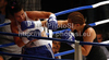 Christina Hammer of Germany and Mihaela Dragan of Romania during boxing match. Boxing match between Hammer and Dragan was held on 4th of September 2010 in Stozice Arena in Ljubljana, Slovenia.
